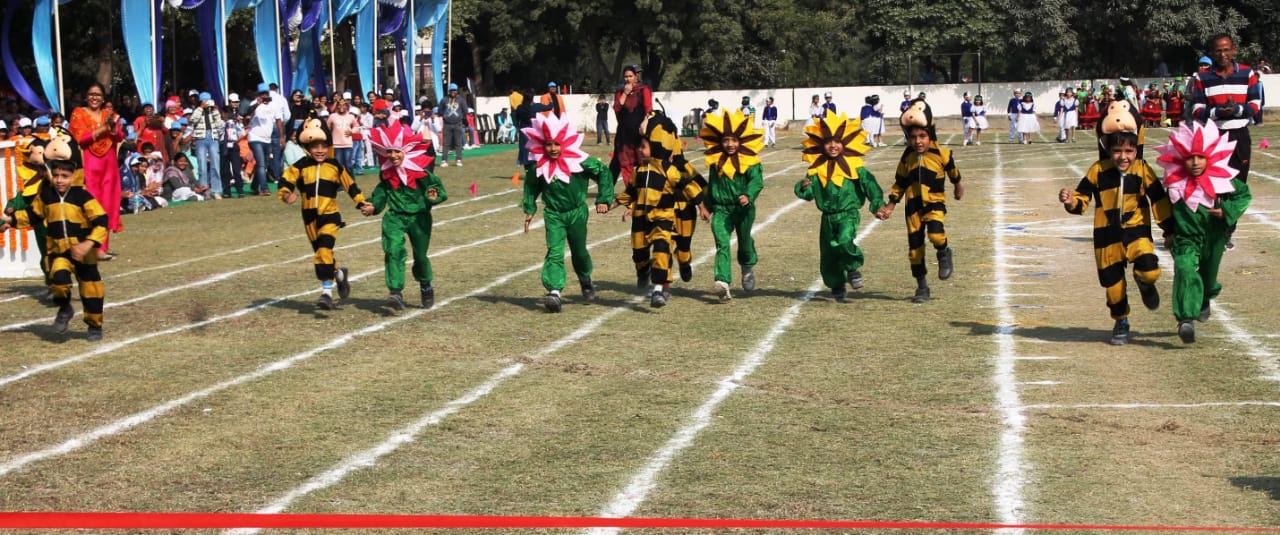 Junior fun games - Back